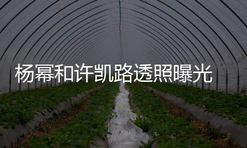 幂身美腿曝光透照穿白衬衣和许杨幂 杨隐约凯路可见